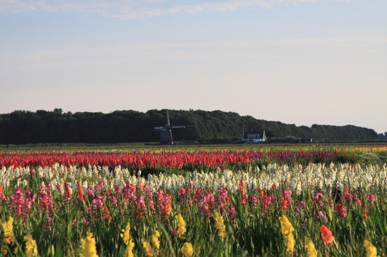 Landgoed Swaensborgh Oudesluis (North Holland) Exterior foto