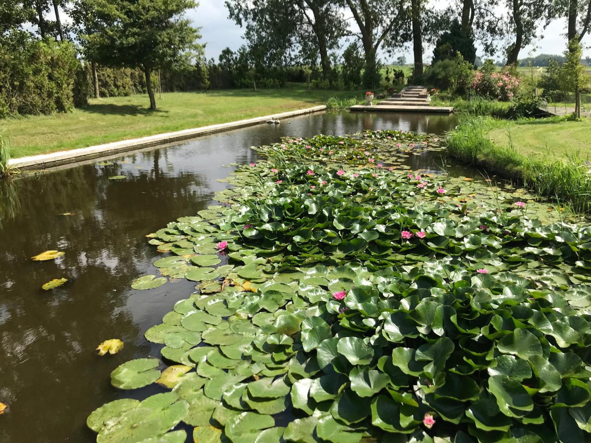Landgoed Swaensborgh Oudesluis (North Holland) Exterior foto